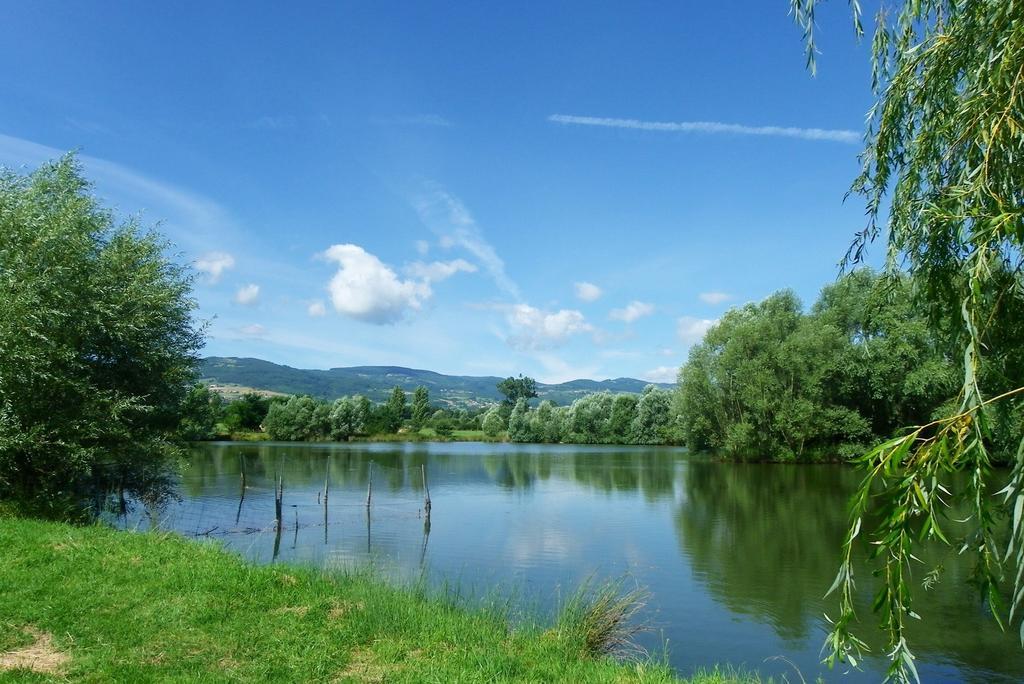 Domaine D'Aromm - Chambres D'Hotes & Gites - Piscine, Etangs & Animaux - Au Calme Ouches Bagian luar foto